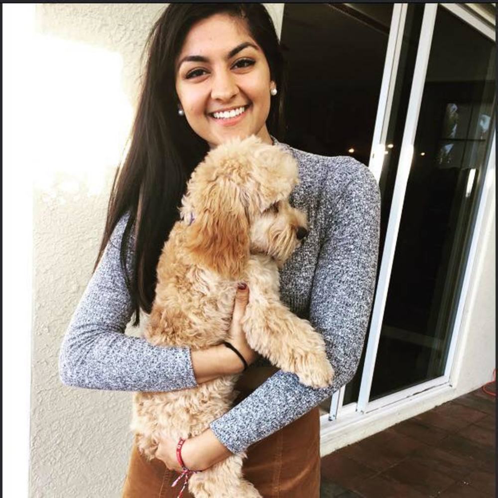 Meet your Posher, Noor